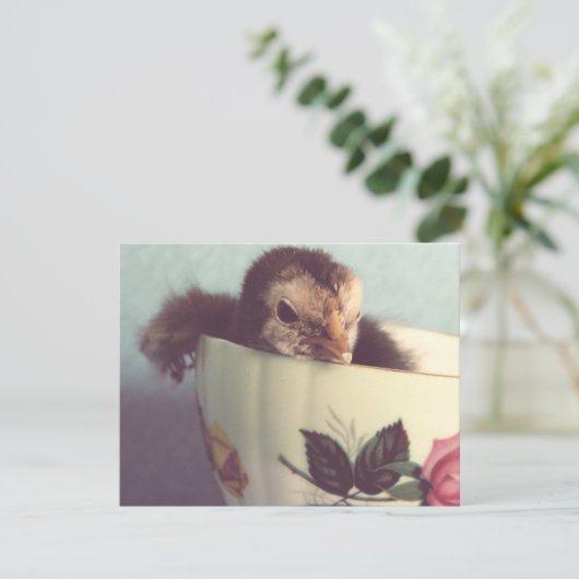 Carte Juste Chillin' (Debout devant)