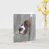 Carte Juste jetant un coup d'oeil dedans (Fleur jaune)