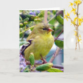 Carte Juste parce que (Fleur jaune)