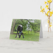 Carte Juste parce que (Fleur jaune)