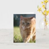 Carte Juste parce que (Fleur jaune)