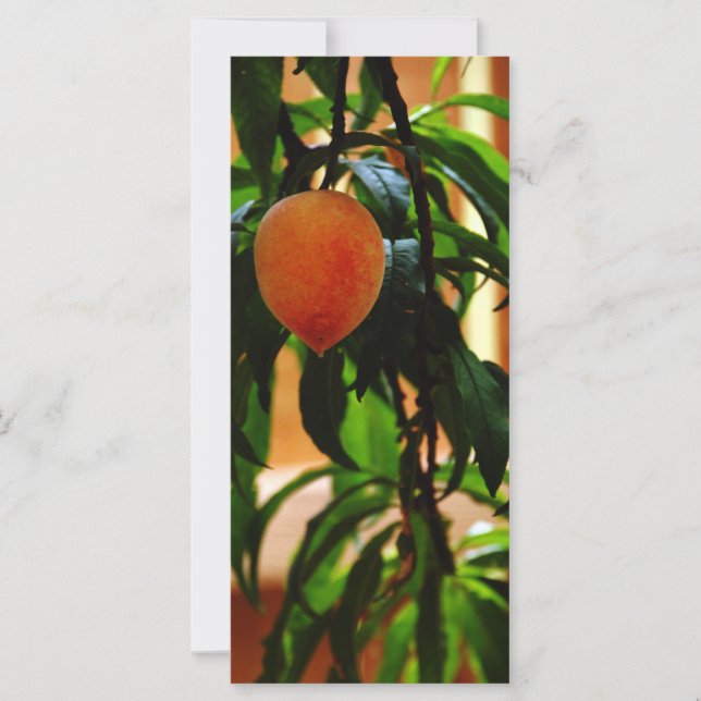 Carte Juste Peachy (Devant)