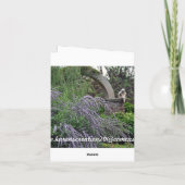 Carte Juste pensant à vous (Dos)