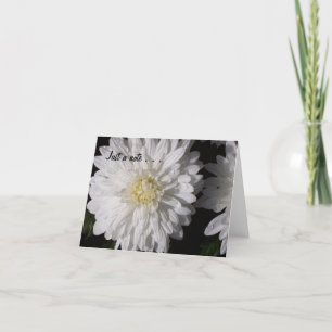 Carte Juste une note…