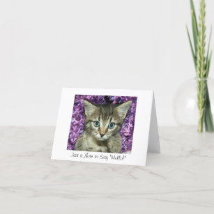 Cartes De Vœux Bonjour Chat Zazzle Be