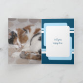 Carte Juste une note pour dire 3 photos de chat bleu (Intérieur)