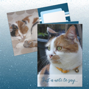 Carte Juste une note pour dire 3 photos de chat bleu