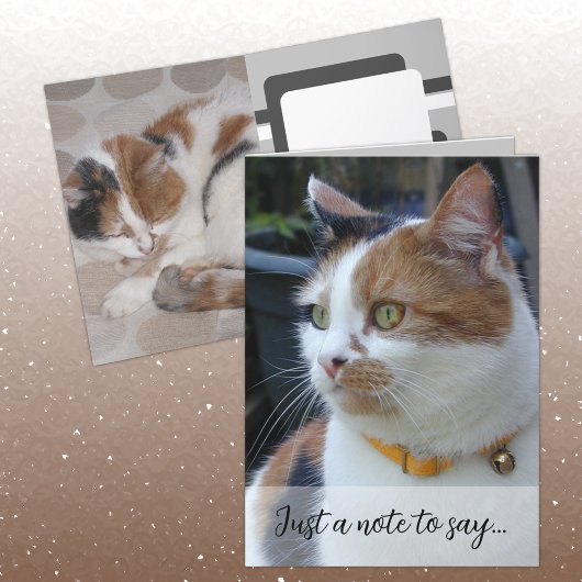 Carte Juste une note pour dire 3 photos de chat gris