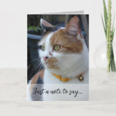 Carte Juste une note pour dire 3 photos de chat gris (Devant)