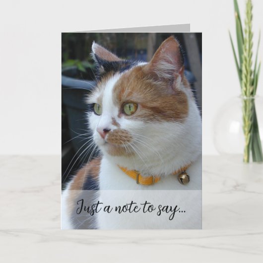 Carte Juste une note pour dire 3 photos de chat gris (Devant)