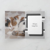 Carte Juste une note pour dire 3 photos de chat gris (Intérieur)