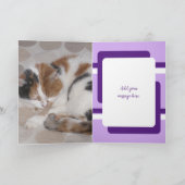 Carte Juste une note pour dire 3 photos de chat violet (Intérieur)