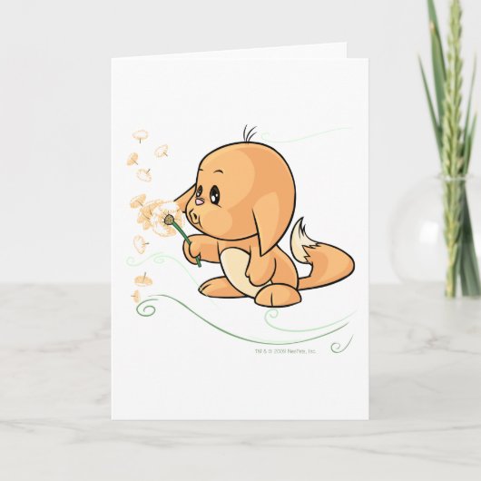 Carte Kacheek orange souhaitant sur un pissenlit (Devant)