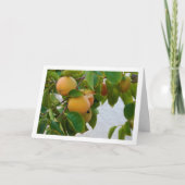 Carte Kaki dans le portrait d'arbre (Devant)