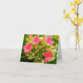 Carte Kalanchoe blossfeldiana (Fleur jaune)