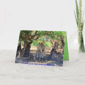 Carte Kangaroo Famille Joyeux Humour d'anniversaire (Dos)