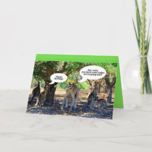 Carte Kangaroo Famille Joyeux Humour d'anniversaire