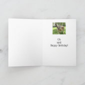 Carte Kangaroo G'day Mate Australian Animal Birthday (Intérieur)