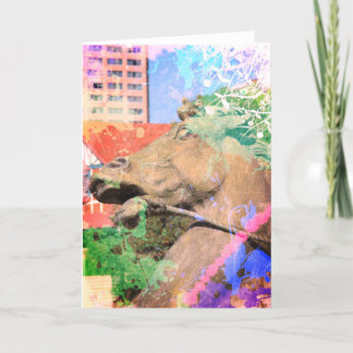 Carte Kansas City Plaza Horse Fontaine Couleurs Artistiq