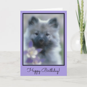 Carte Keeshond and Columbine  - Dog Photograph