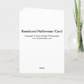Carte Keeshond Halloween (Dos)
