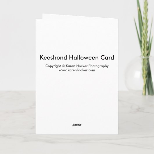 Carte Keeshond Halloween (Dos)