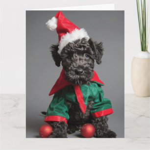 Carte Kerry Blue Terrier Elf Puppy Christmas Card