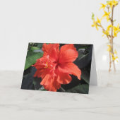 Carte Ketmie (Fleur jaune)