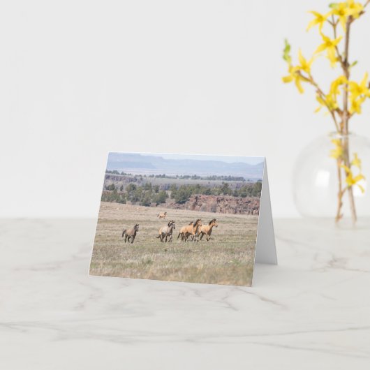 Carte Kiger Bachelors (Fleur jaune)