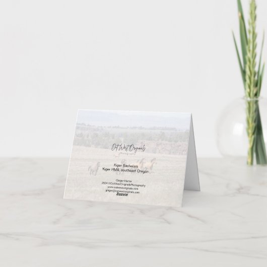 Carte Kiger Bachelors (Dos)