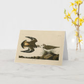 Carte Kildeer Plover (Killdeer) Audubon Birds of America (Fleur jaune)