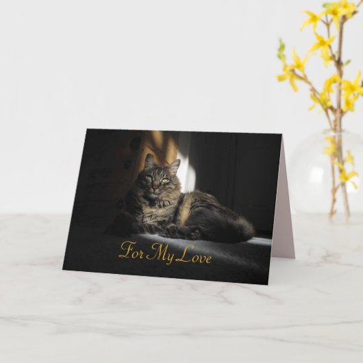 Carte Kimber Cat Slivers of Sunlight Anniversary (Fleur jaune)