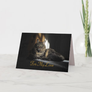 Carte Kimber Cat Slivers of Sunlight Anniversary