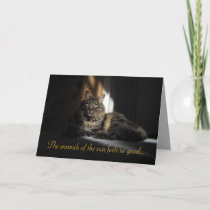 Carte Kimber Cat Slivers of Sunlight I Love You Card