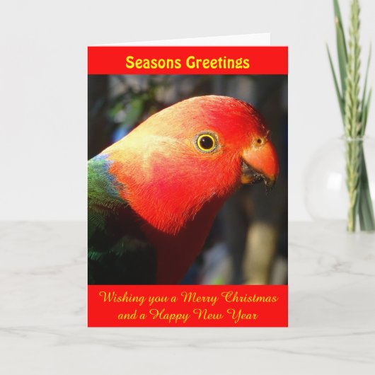 Carte King Parrot Xmas (Devant)