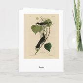 Carte Kingbird de l'est des oiseaux d'Amérique d'Audubon (Dos)