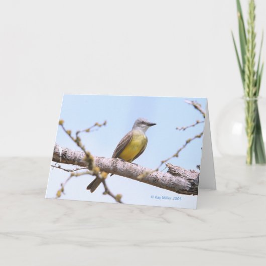 Carte Kingbitrd-1-05 tropical (Devant)