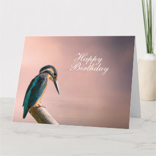 Carte Kingfisher