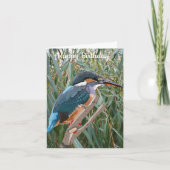 Carte Kingfisher et Willow éditable Anniversaire (Devant)