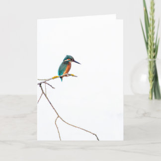 Carte Kingfisher minimaliste sur blanc pour ornithologue