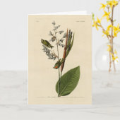 Carte Kinglet couronné d'or, les oiseaux d'Amérique d'Au (Fleur jaune)