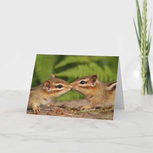 Carte Kissing Baby Chipmunks (Devant)