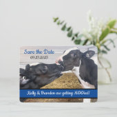 Carte Kissing Calves PHOTO Mariage Enregistrer la date (Debout devant)