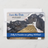 Carte Kissing Calves PHOTO Mariage Enregistrer la date (Devant)