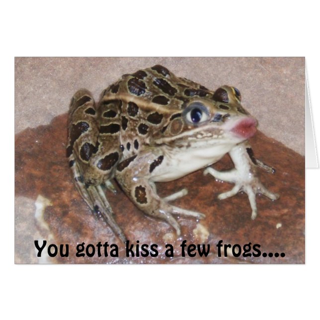 Carte Kissing Frog (Devant horizontal)