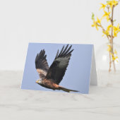 Carte Kite rouge (Fleur jaune)