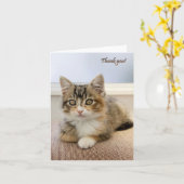 Carte Kitten (Fleur jaune)