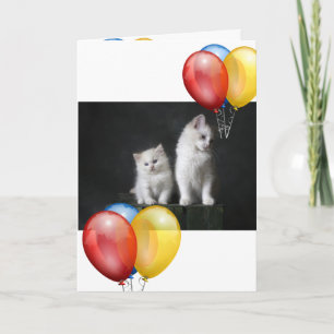 Carte Kitten