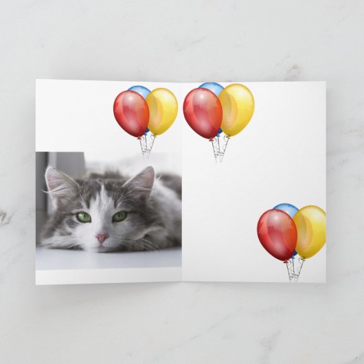 Carte Kitten (Intérieur)