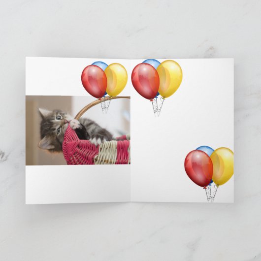 Carte Kitten (Intérieur)